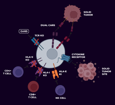 武田再度加码“被抛弃”的细胞疗法，CAR-NK或将在2029问世